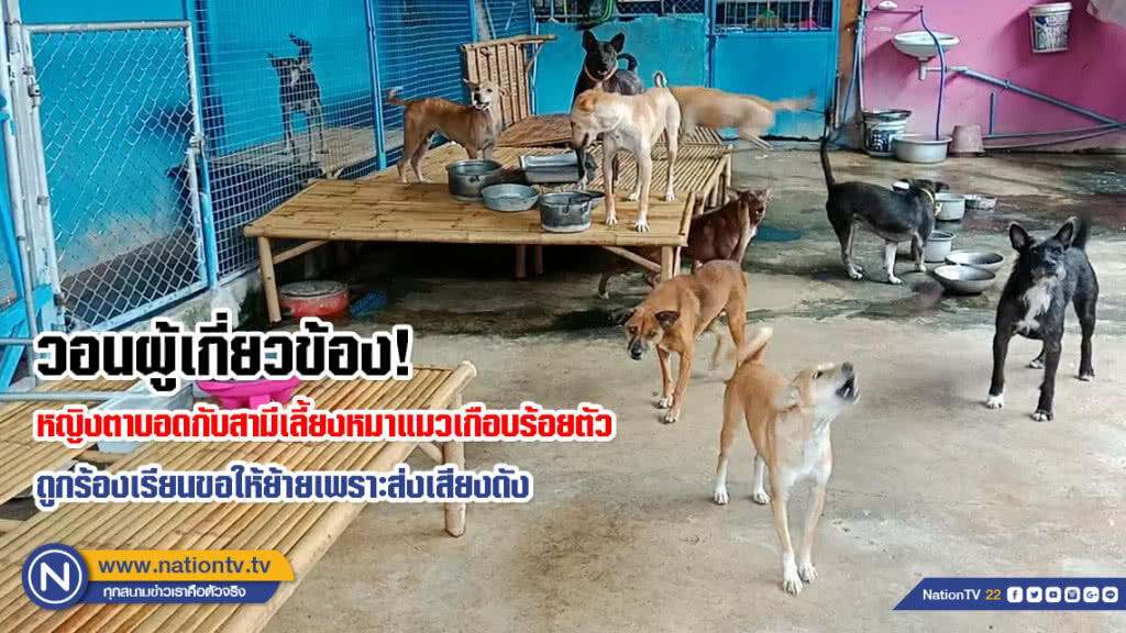 วอนผู้เกี่ยวข้อง! หญิงตาบอดกับสามีเลี้ยงหมาแมวเกือบร้อยตัว ถูกร้องเรียนขอให้ย้ายเพราะส่งเสียงดัง