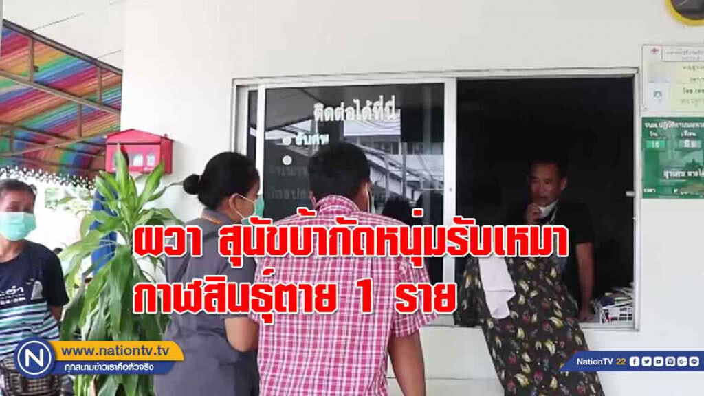ผวา! สุนัขบ้ากัดหนุ่มรับเหมากาฬสินธุ์ตาย 1 ราย