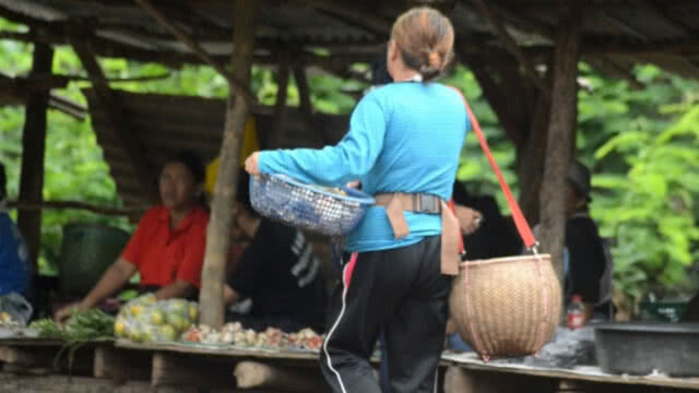 ชาวบ้านเก็บเห็ดป่าขาย เตรียมเก็บเงินลงทุนทำนา