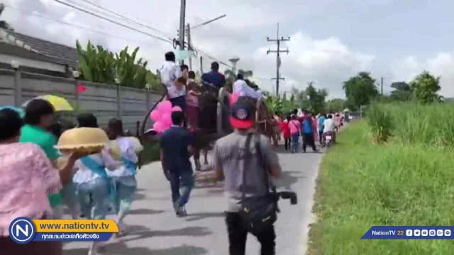 หนุ่มขึ้น"เกวียนเทียมควาย" ขอสาวแต่งงาน หลังพบรักในงานแข่งควาย