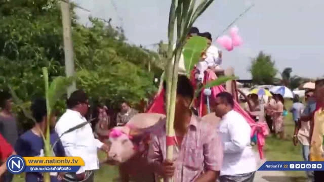 หนุ่มขึ้น"เกวียนเทียมควาย" ขอสาวแต่งงาน หลังพบรักในงานแข่งควาย