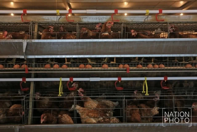 พระองค์เจ้าพัชรกิติยาภา ทรงเปิดศูนย์เรียนรู้ด้านเกษตรฯ เรือนจำเขาพริก อ.สีคิ้ว