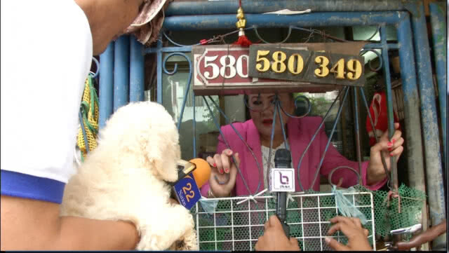 ป้าแสง ลั่น เงินเหลือเฟือเลี้ยงหมา ไม่ให้เขตเลี้ยงกลัวหมาอดตาย