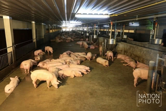 พระองค์เจ้าพัชรกิติยาภา ทรงเปิดศูนย์เรียนรู้ด้านเกษตรฯ เรือนจำเขาพริก อ.สีคิ้ว