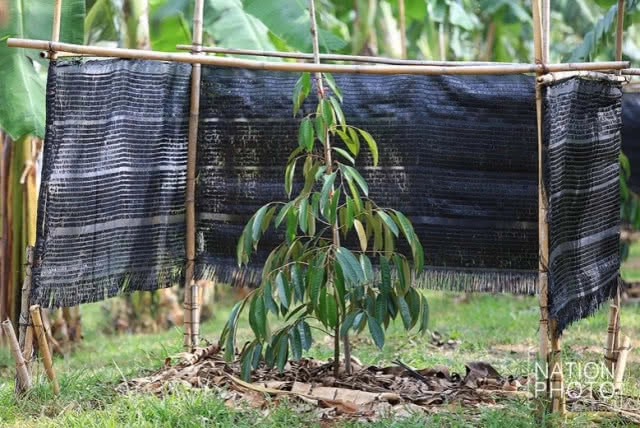 พระองค์เจ้าพัชรกิติยาภา ทรงเปิดศูนย์เรียนรู้ด้านเกษตรฯ เรือนจำเขาพริก อ.สีคิ้ว