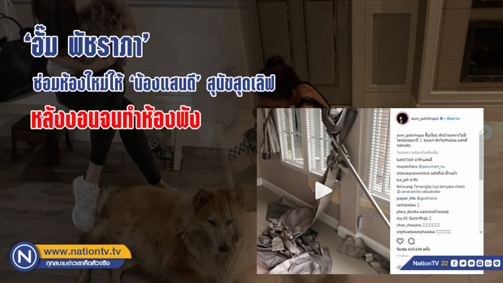"อั๊ม พัชราภา"  ซ่อมห้องใหม่ให้ "น้องแสนดี" สุนัขสุดเลิฟ หลังงอนจนทำห้องพัง