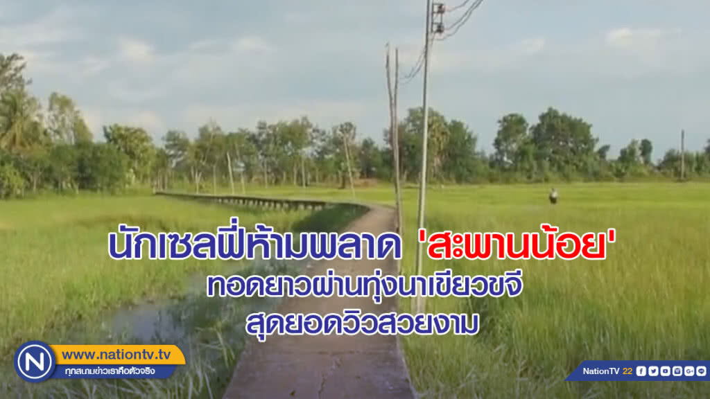 นักเซลฟี่ห้ามพลาด 'สะพานน้อย'  ทอดยาวผ่านทุ่งนาเขียวขจี  สุดยอดวิวสวยงาม
