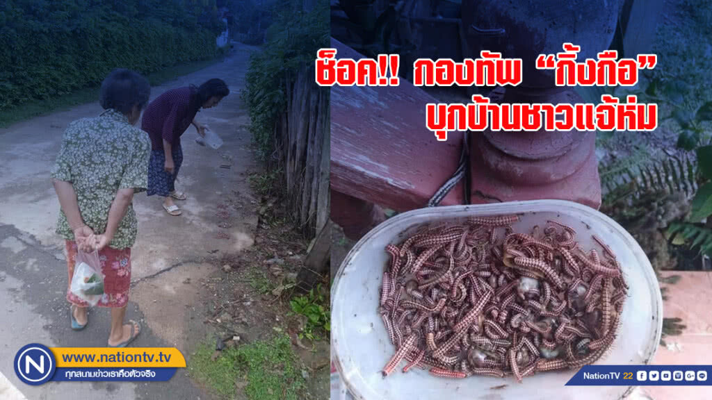ช็อค!! กองทัพ"กิ้งกือ"บุกบ้านชาวแจ้ห่ม ช็อค!! กองทัพ"กิ้งกือ"บุกบ้านชาวแจ้ห่ม