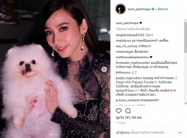 "อั๊ม พัชราภา"  ซ่อมห้องใหม่ให้ "น้องแสนดี" สุนัขสุดเลิฟ หลังงอนจนทำห้องพัง