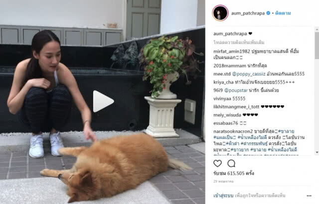 "อั๊ม พัชราภา"  ซ่อมห้องใหม่ให้ "น้องแสนดี" สุนัขสุดเลิฟ หลังงอนจนทำห้องพัง
