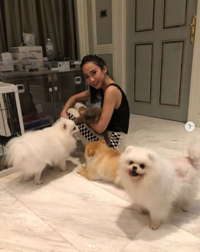 "อั๊ม พัชราภา"  ซ่อมห้องใหม่ให้ "น้องแสนดี" สุนัขสุดเลิฟ หลังงอนจนทำห้องพัง
