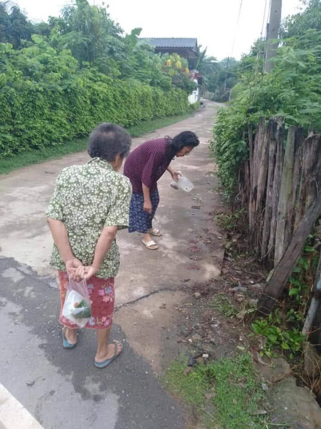 ช็อค!! กองทัพ"กิ้งกือ"บุกบ้านชาวแจ้ห่ม