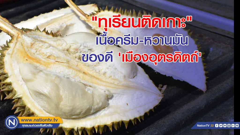 "ทุเรียนติดเกาะ" เนื้อครีม-หวานมัน ของดี 'เมืองอุตรดิตถ์'