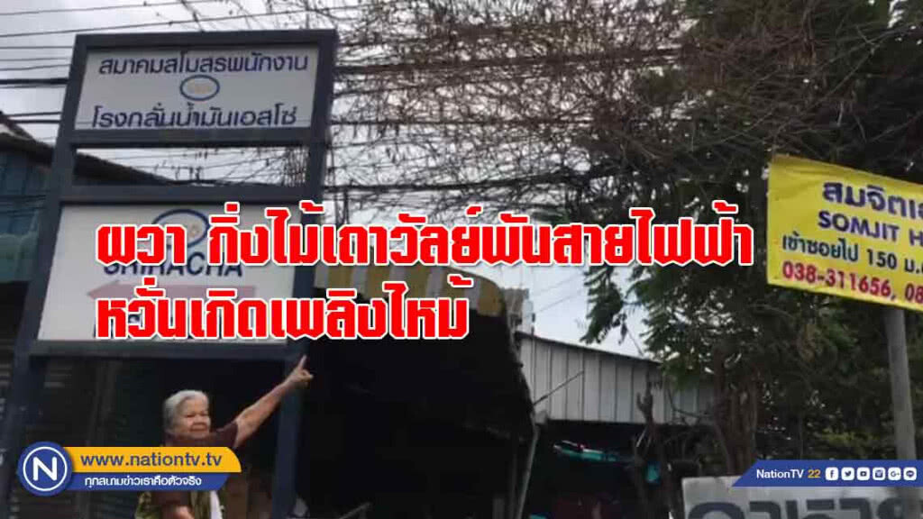 คุณยายนอนผวา! กิ่งไม้เถาวัลย์เลื้อยพันสายไฟฟ้า หวั่นเกิดไฟไหม้