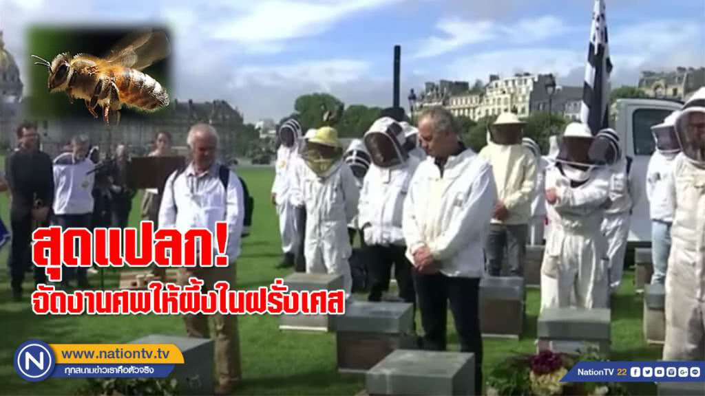 สุดแปลก! จัดงานศพให้ผึ้งในฝรั่งเศส ประท้วงยาฆ่าแมลงชนิดที่มีผลร้ายแรง (ชมคลิป)