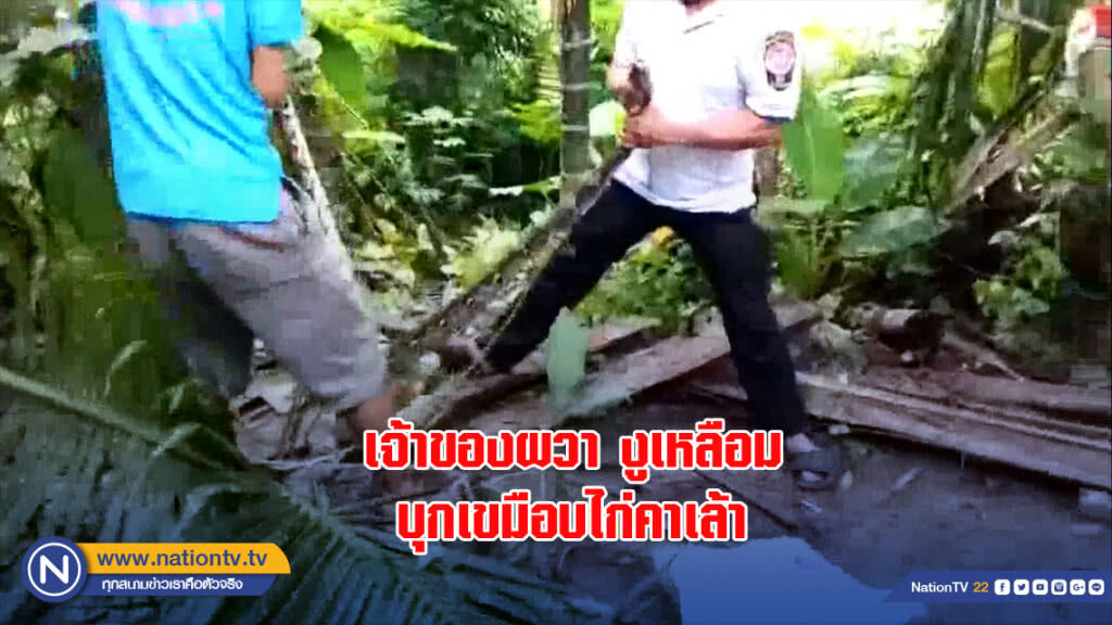 เจ้าของผวา งูเหลือม บุกเขมือบไก่คาเล้า ต้องเรียกกู้ภัยช่วย