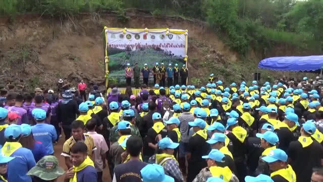 จัดกิจกรรมปลูกป่าเพื่อฟื้นฟูป่าต้นน้ำ