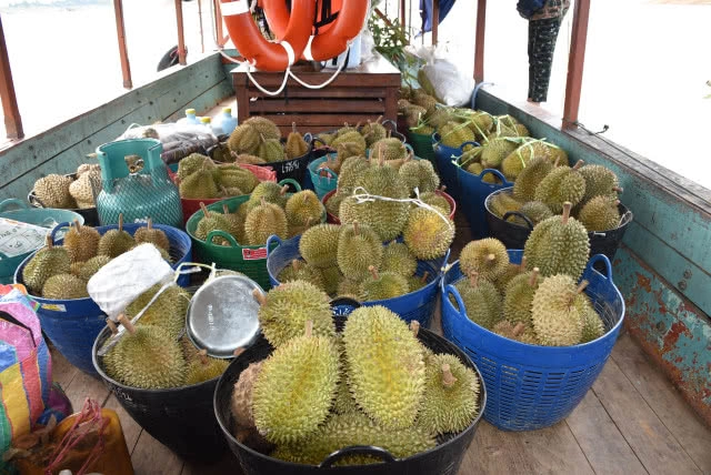 "ทุเรียนติดเกาะ" เนื้อครีม-หวานมัน ของดี 'เมืองอุตรดิตถ์'