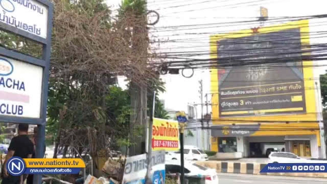 คุณยายนอนผวา! กิ่งไม้เถาวัลย์เลื้อยพันสายไฟฟ้า หวั่นเกิดไฟไหม้