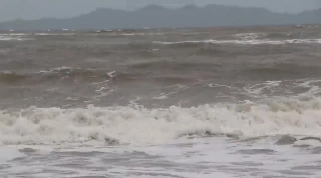 'เรือประมง' ขนาดเล็ก ในตรัง กว่า 100 ลำ งดออกจากฝั่ง