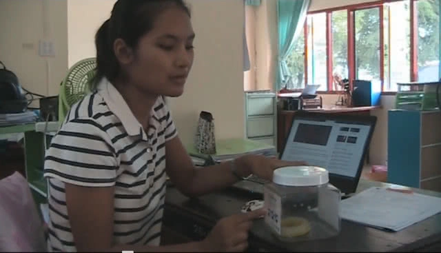 ศูนย์ควบคุมโรคเตือน อย่า!แตกตื่น  'ยุงยักษ์' เป็นแค่ 'แมลงวันขายาว'