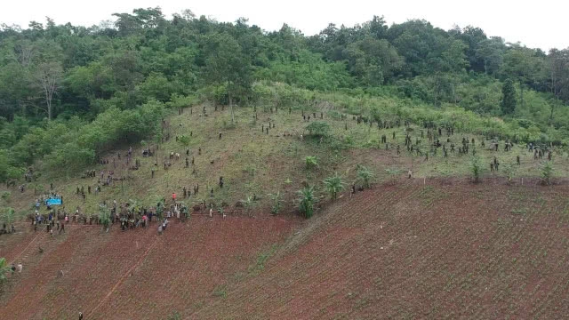 จัดกิจกรรมปลูกป่าเพื่อฟื้นฟูป่าต้นน้ำ