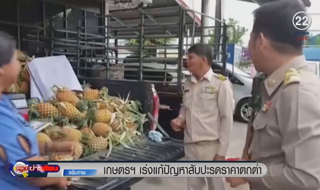 (คลิปข่าว) เกษตรฯ เร่งแก้ปัญหาราคาสับปะรดตกต่ำ (คลิปข่าว) เกษตรฯ เร่งแก้ปัญหาราคาสับปะรดตกต่ำ