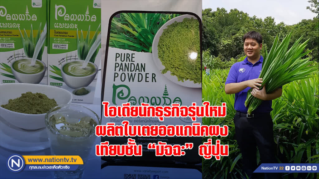ไอเดียนักธุรกิจรุ่นใหม่ผลิตใบเตยออแกนิคผง เทียบชั้น"มัจฉะ"ญี่ปุ่น