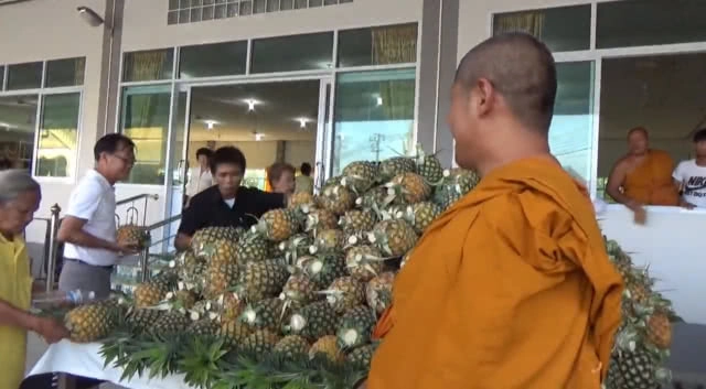 'วัดโพธิญาณ' เหมาสับปะรด 5 ตัน ช่วยเกษตรกร มาแจกประชาชน