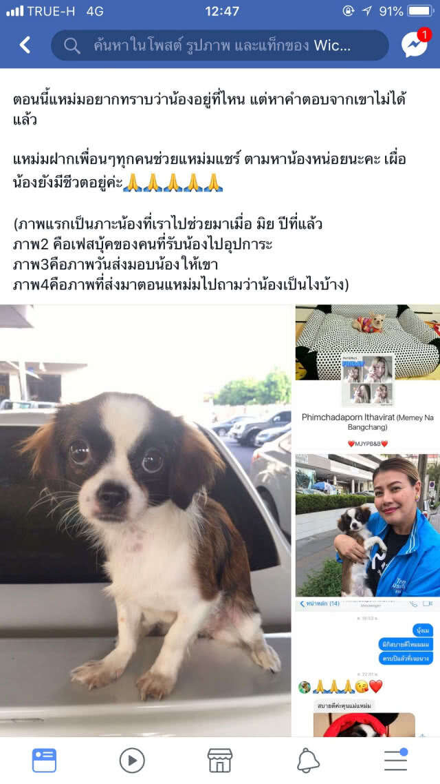 "แหม่ม วิชชุดา" โร่แจ้งตร. โวยผู้อุปการะรับสุนัขไปเลี้ยงนิ่งเฉย