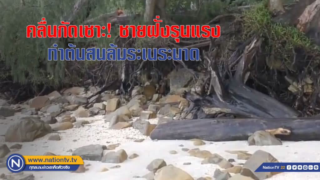 คลื่นกัดเซาะ! ชายฝั่งรุนแรง ทำต้นสนล้มระเนระนาด