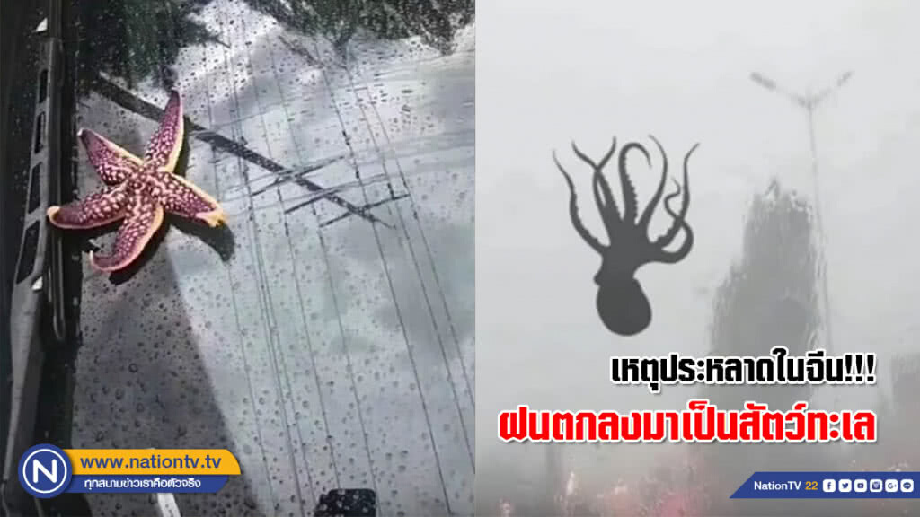 สุดประหลาด! ฝนตกลงมาเป็นสัตว์ทะเล ในเมืองชิงเต่า ประเทศจีน