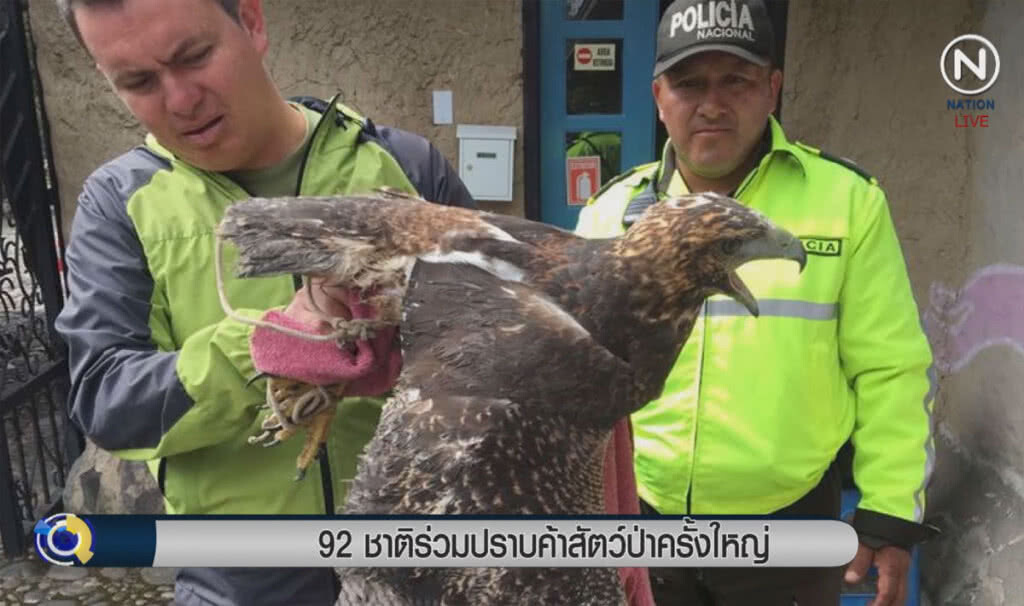 (คลิปข่าว) 92 ชาติร่วมปราบค้าสัตว์ป่าครั้งใหญ่ (คลิปข่าว) 92 ชาติร่วมปราบค้าสัตว์ป่าครั้งใหญ่