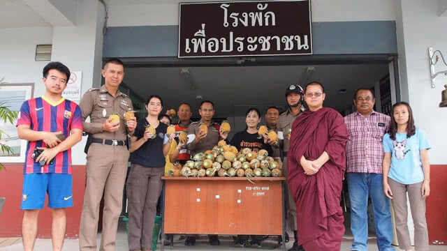 พระพะเยาซื้อสับปะรด 20 ตัน แจกจ่ายชาวบ้าน