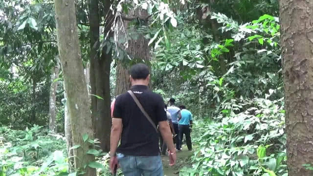 ทึ่ง! "ต้นตะเคียนทองยักษ์โบราณ" หนึ่งเดียวในพะเยา