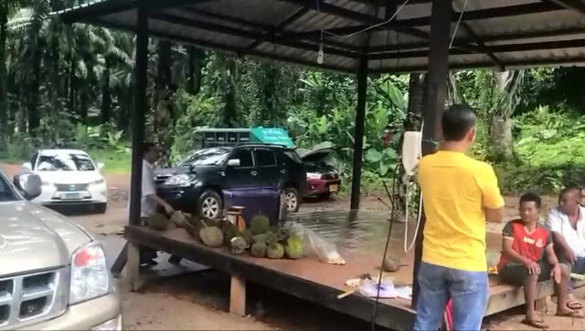 ยอดจองทุเรียน"หลินกระบี่"ข้ามปี เจ้าของสวนเล็งสร้างโฮมสเตย์
