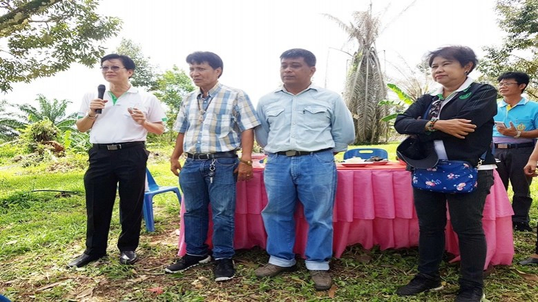 "ไตรโคเดอร์ม่า"มือปราบ"รากเน่าโคนเน่า"ทุเรียน