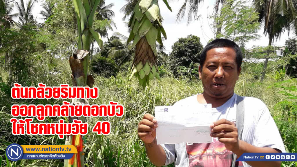 ต้นกล้วยริมทางออกลูกคล้ายดอกบัวให้โชคหนุ่มวัย 40