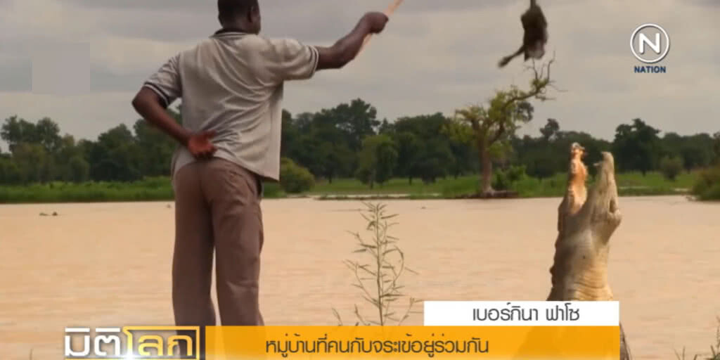 น่าทึ่ง...หมู่บ้านในเมืองบาซูเล คนอยู่ร่วมกับจระเข้นับร้อย
