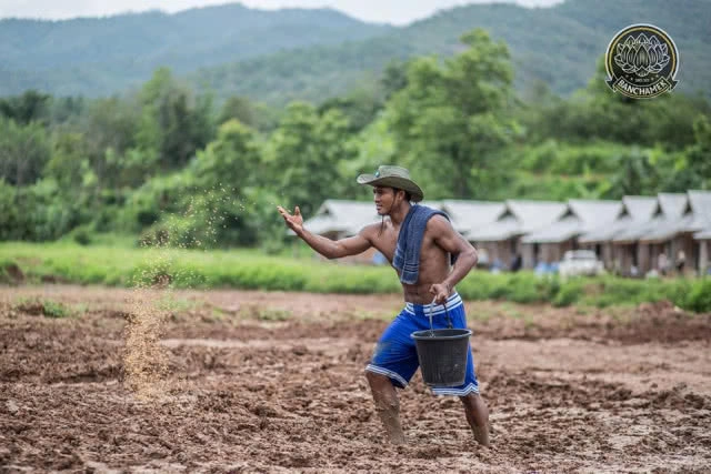 ชาวนาที่แกร่งสุดในปฐพี "บัวขาว" อวดซิกแพ็ค ลงแรงทำนา