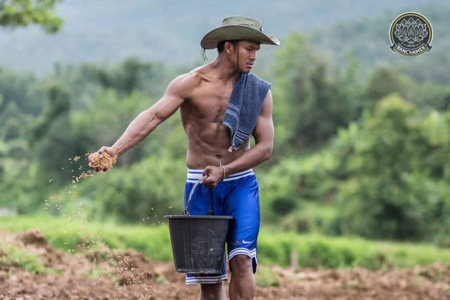 ชาวนาที่แกร่งสุดในปฐพี "บัวขาว" อวดซิกแพ็ค ลงแรงทำนา