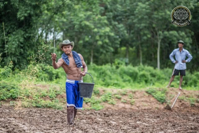 ชาวนาที่แกร่งสุดในปฐพี "บัวขาว" อวดซิกแพ็ค ลงแรงทำนา