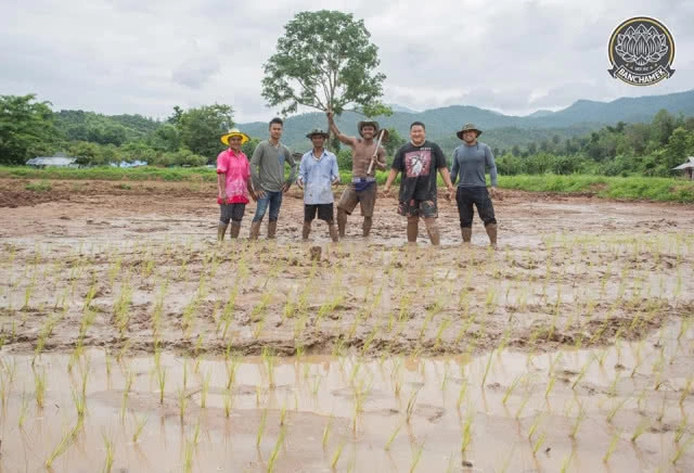 ชาวนาที่แกร่งสุดในปฐพี "บัวขาว" อวดซิกแพ็ค ลงแรงทำนา