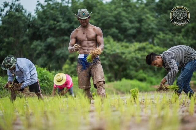 ชาวนาที่แกร่งสุดในปฐพี "บัวขาว" อวดซิกแพ็ค ลงแรงทำนา