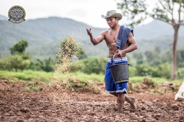 ชาวนาที่แกร่งสุดในปฐพี "บัวขาว" อวดซิกแพ็ค ลงแรงทำนา