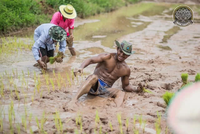ชาวนาที่แกร่งสุดในปฐพี "บัวขาว" อวดซิกแพ็ค ลงแรงทำนา