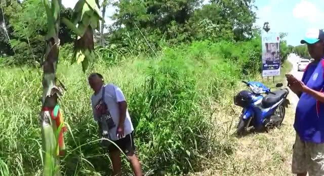 อัศจรรย์ต้นกล้วยริมถนน ออกลูกคล้ายดอกบัว แถมให้โชคหนุ่มวัย 40 ปี(มีคลิป)