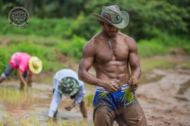 ชาวนาที่แกร่งสุดในปฐพี "บัวขาว" อวดซิกแพ็ค ลงแรงทำนา