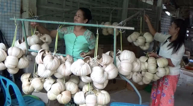 "ติหมา" อาชีพปากกัดตีนถีบแต่โกอินเตอร์ (มีคลิป)