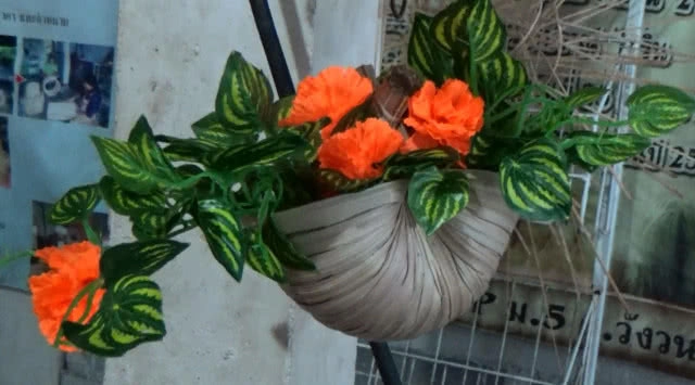 "ติหมา" อาชีพปากกัดตีนถีบแต่โกอินเตอร์ (มีคลิป)